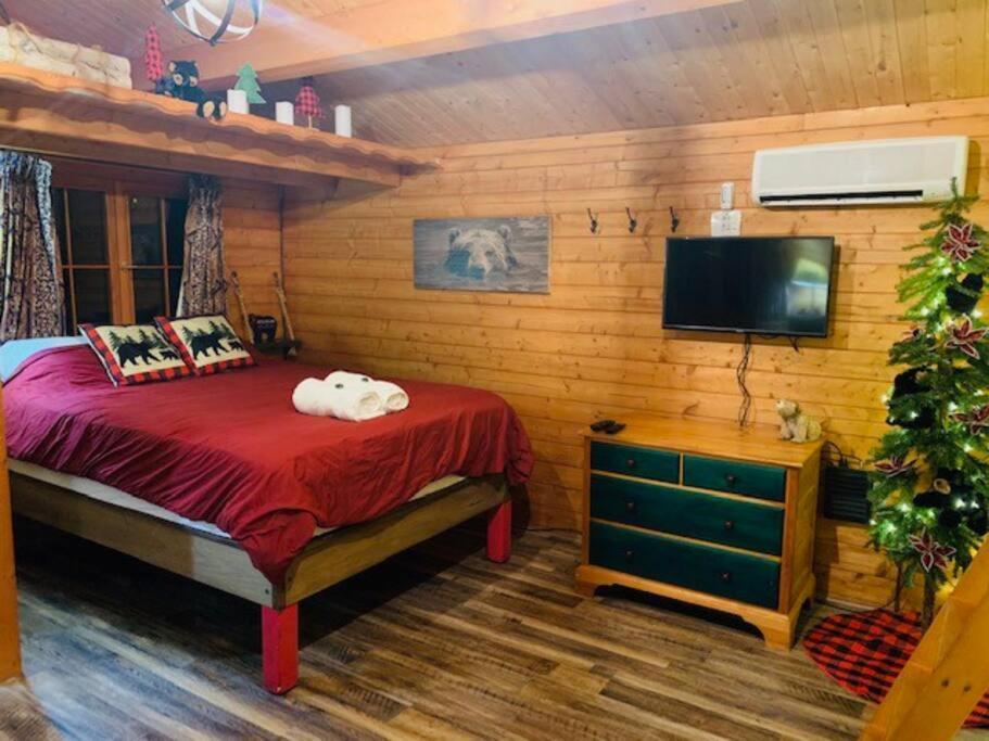 Honeybear Hideaway Cabin هايوارد المظهر الخارجي الصورة