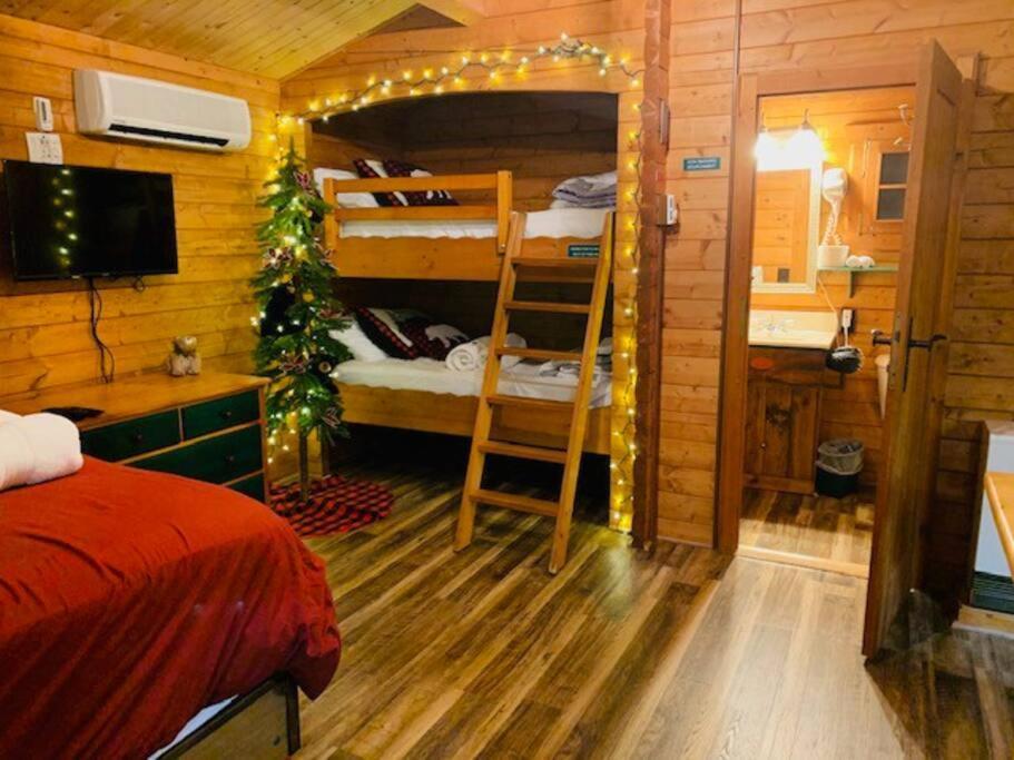 Honeybear Hideaway Cabin هايوارد المظهر الخارجي الصورة