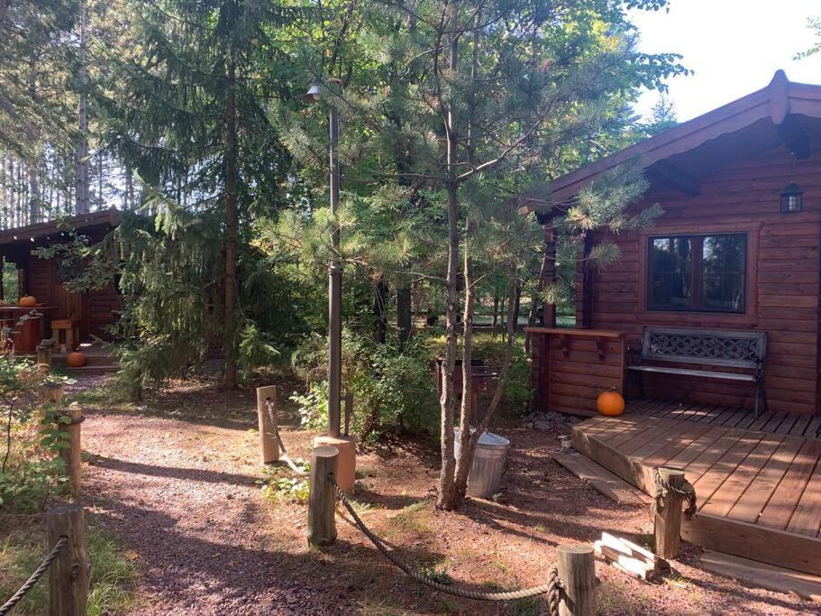 Honeybear Hideaway Cabin هايوارد المظهر الخارجي الصورة