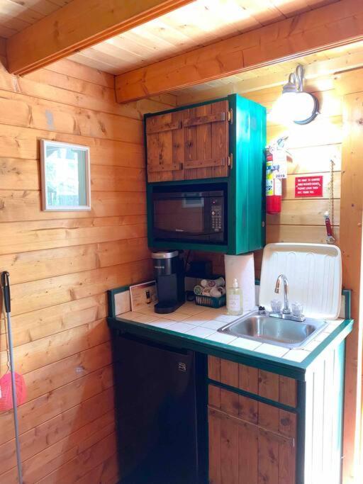 Honeybear Hideaway Cabin هايوارد المظهر الخارجي الصورة